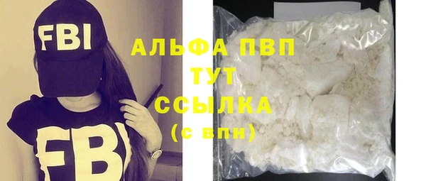 шишки Туринск