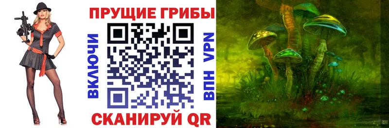 Псилоцибиновые грибы Psilocybine cubensis  blacksprut ссылка  Янаул  дарнет шоп 